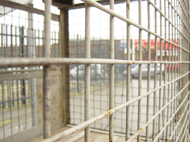 Caged 03