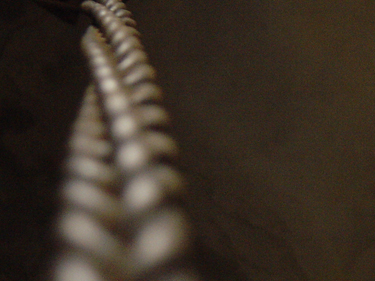 Chain 01