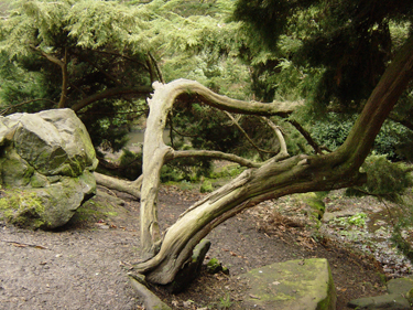 Wood and Stone